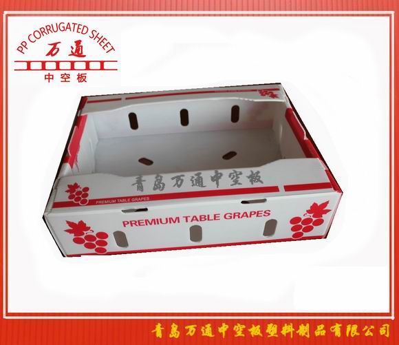 <strong>中空板葡萄包裝箱</strong>